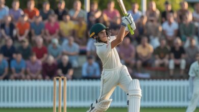 about cricket xashuyqadvolls