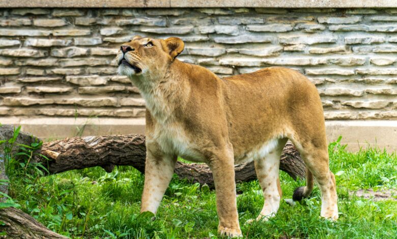 händlerbund kündigen